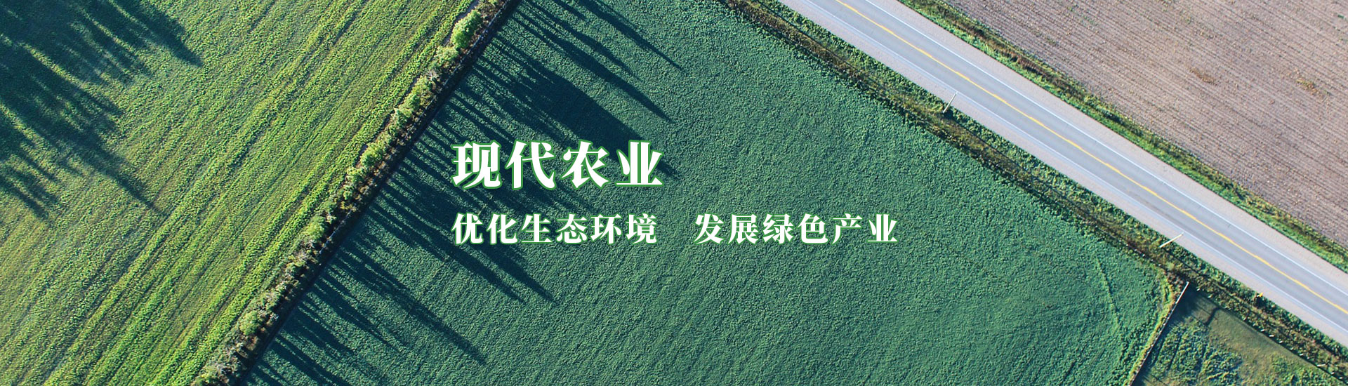 公海彩船6600(中国游)官方网站