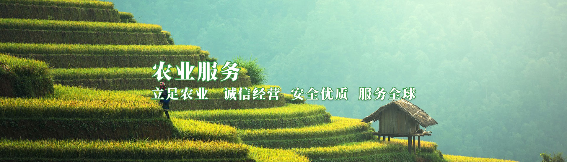 公海彩船6600(中国游)官方网站